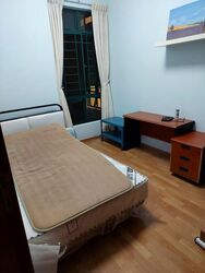 Parc Palais (D21), Condominium #520742831